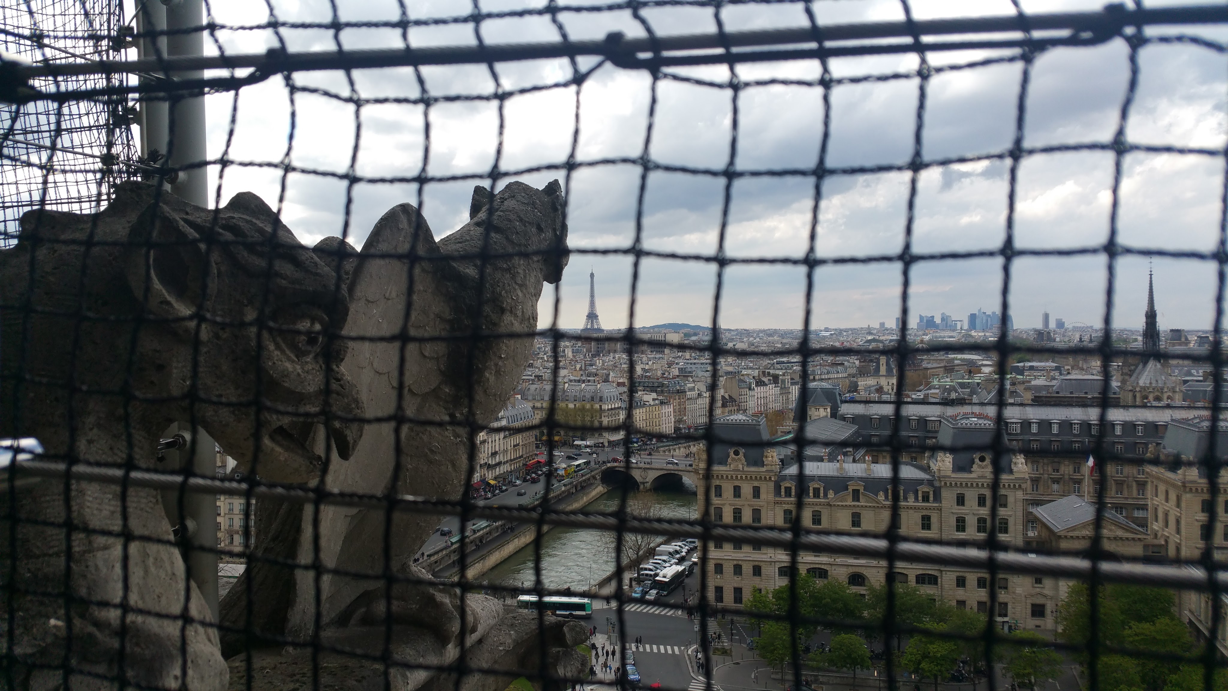Notre-Dame gargoyles