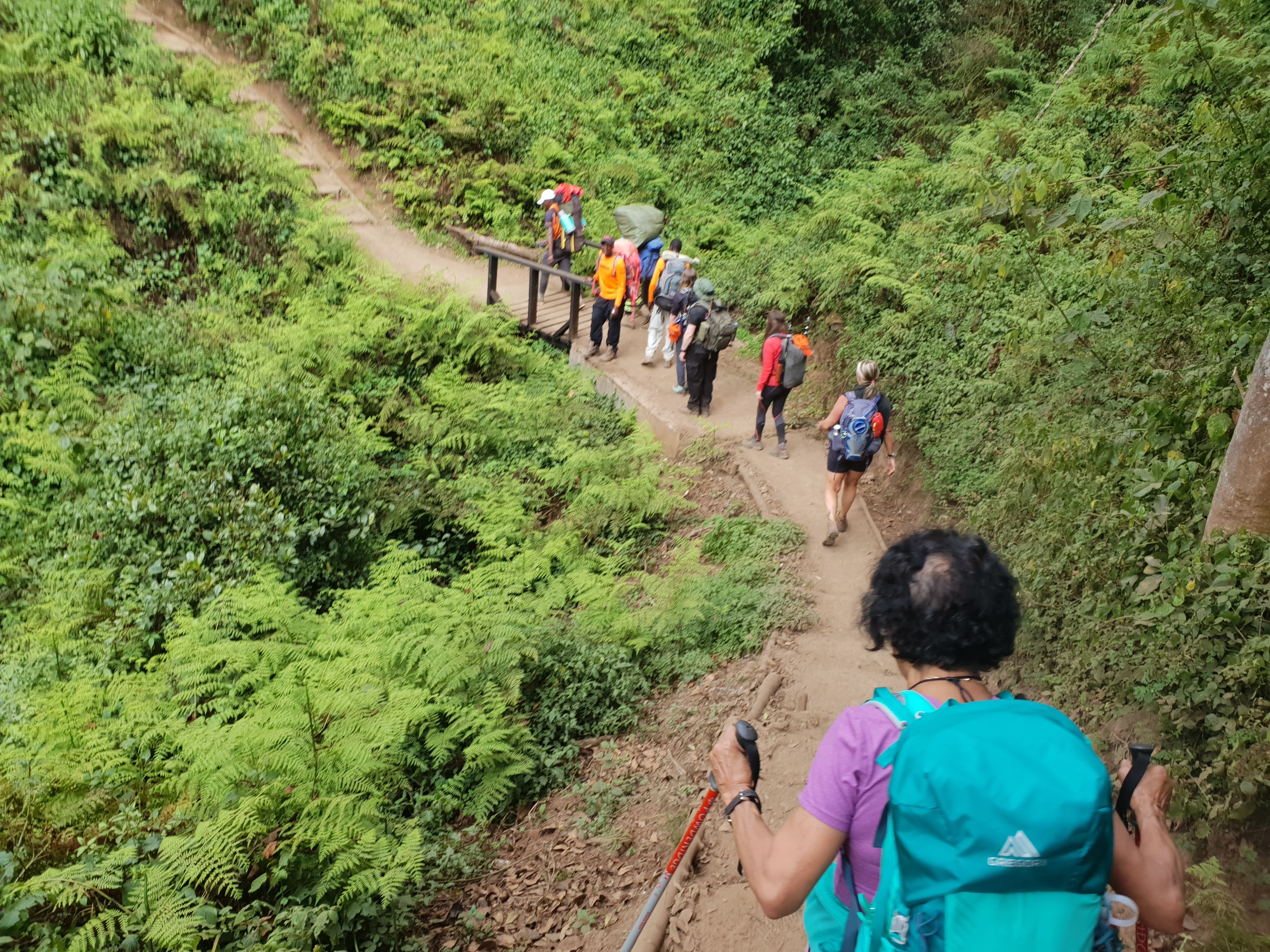 Climbing towards Shira Plateau Kilimanjaro
