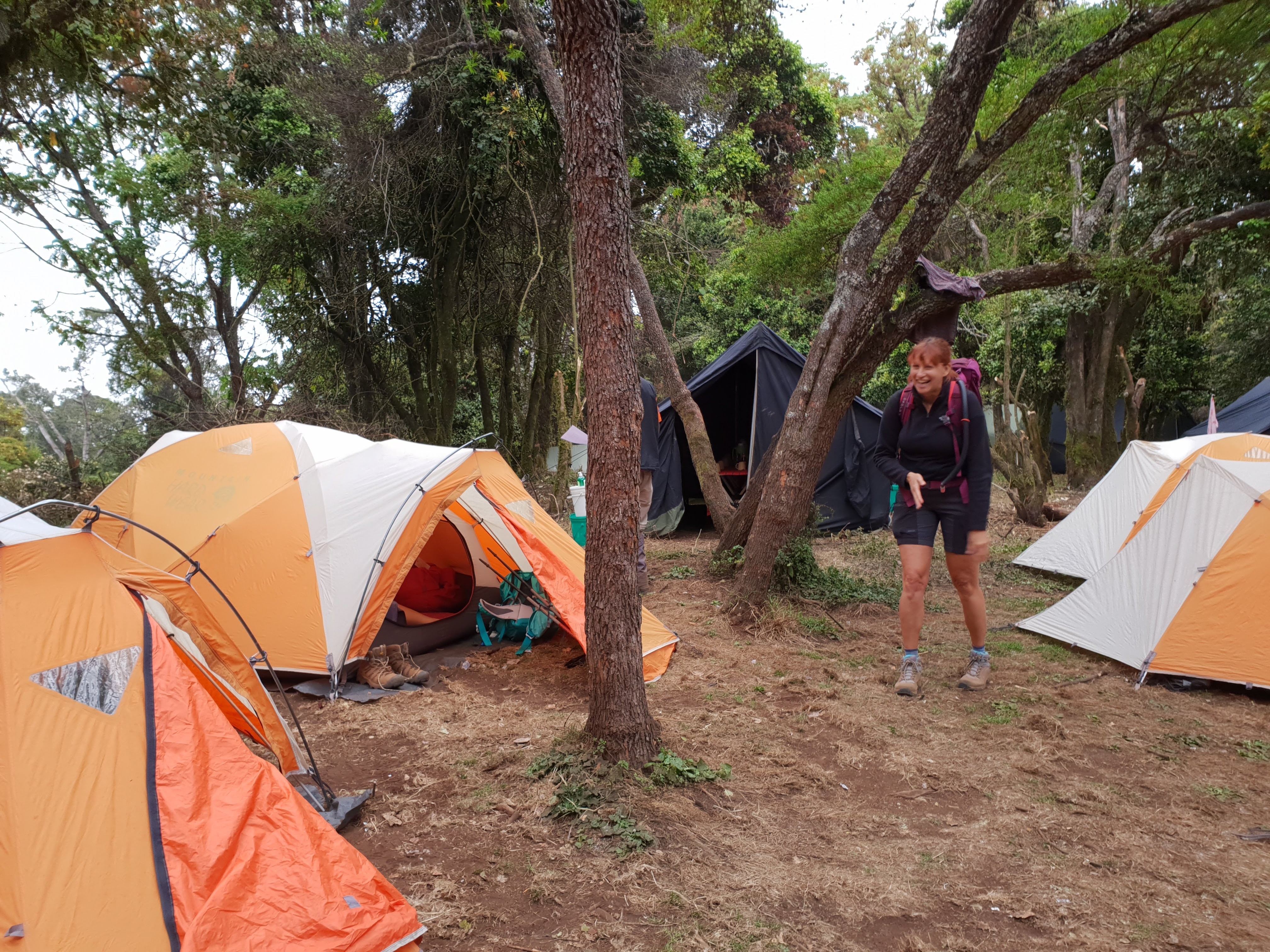 Big Tree Camp Kilimanjaro