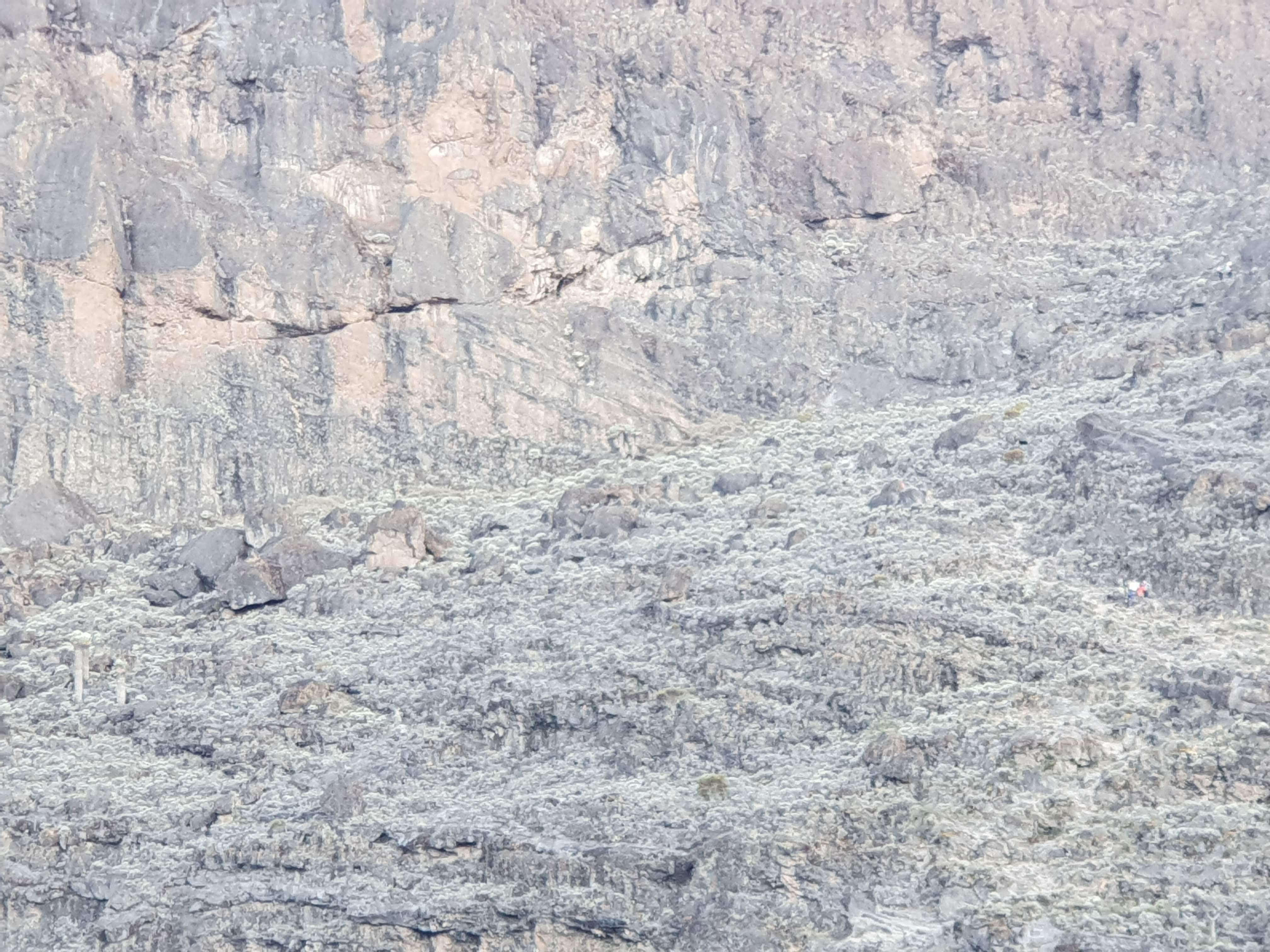 Barranco Wall Kilimanjaro