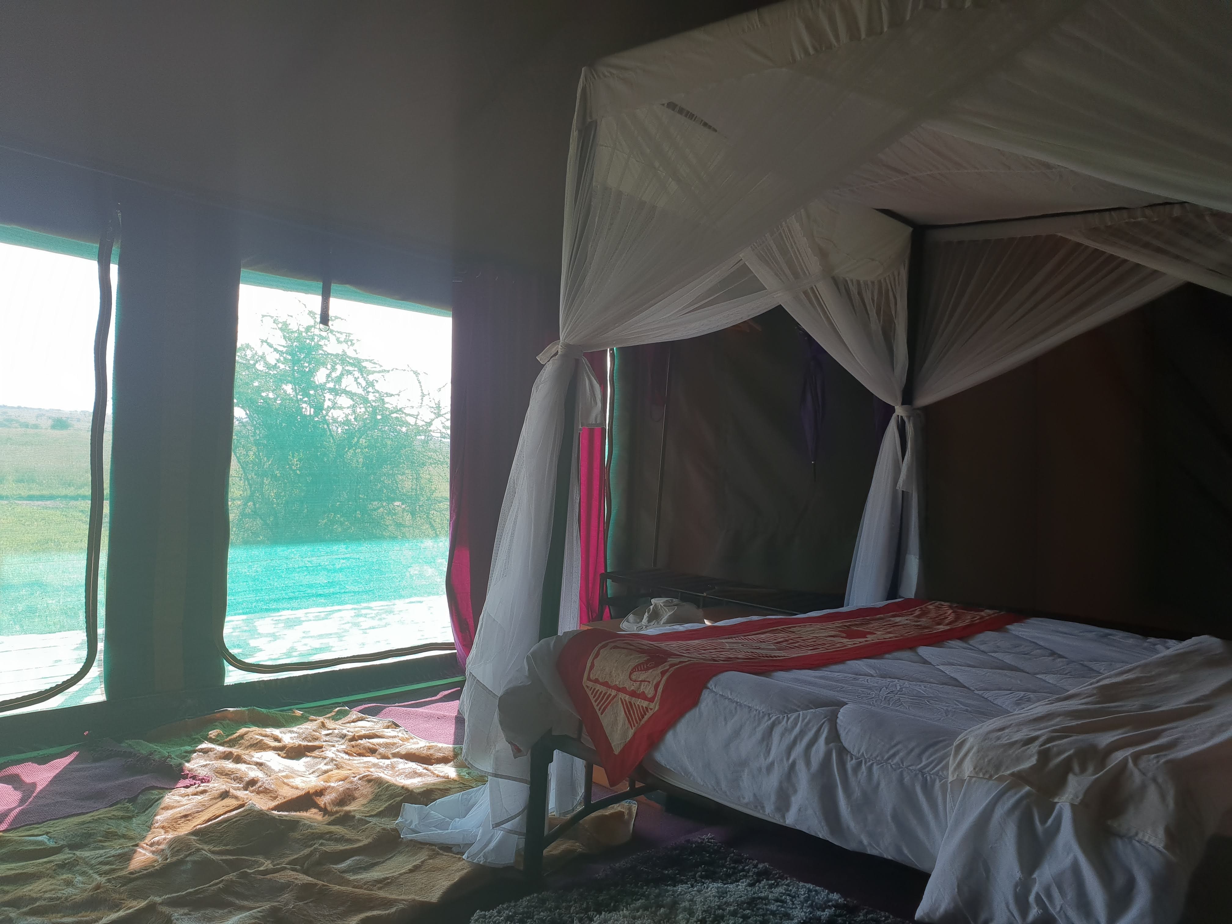 Serengeti Glamping