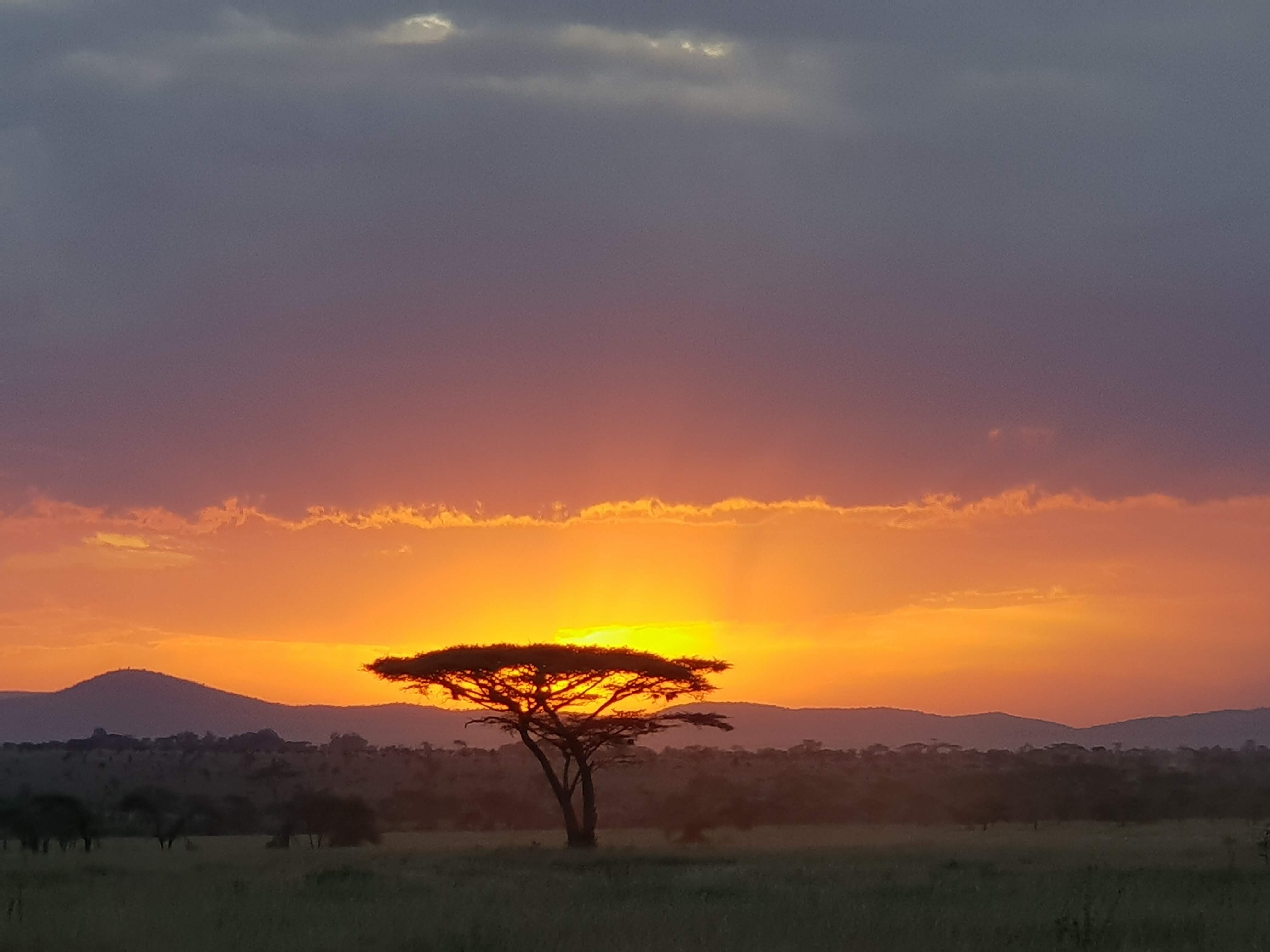 Serengeti Sunset