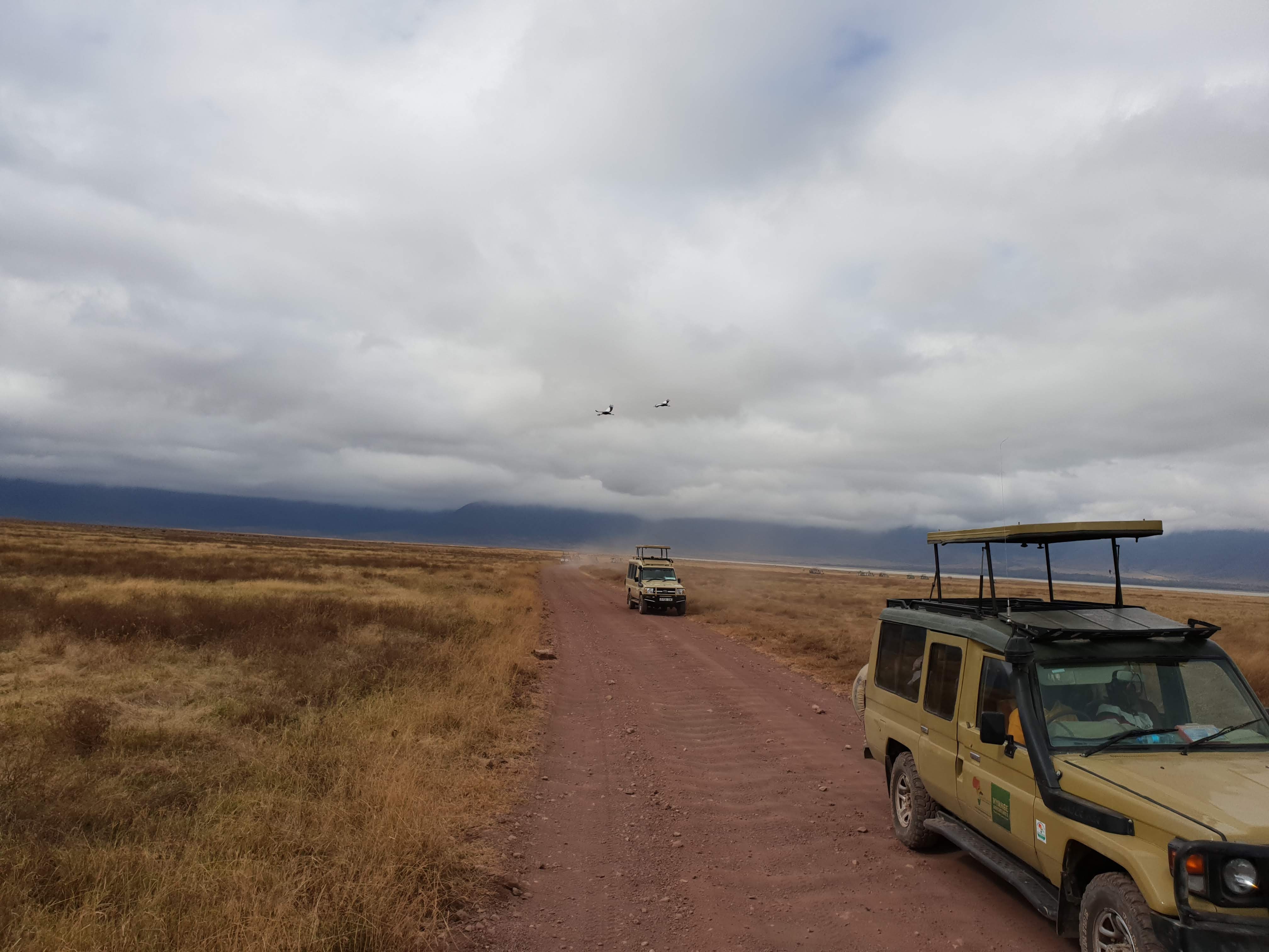 Safari Trucks in the Serengeti