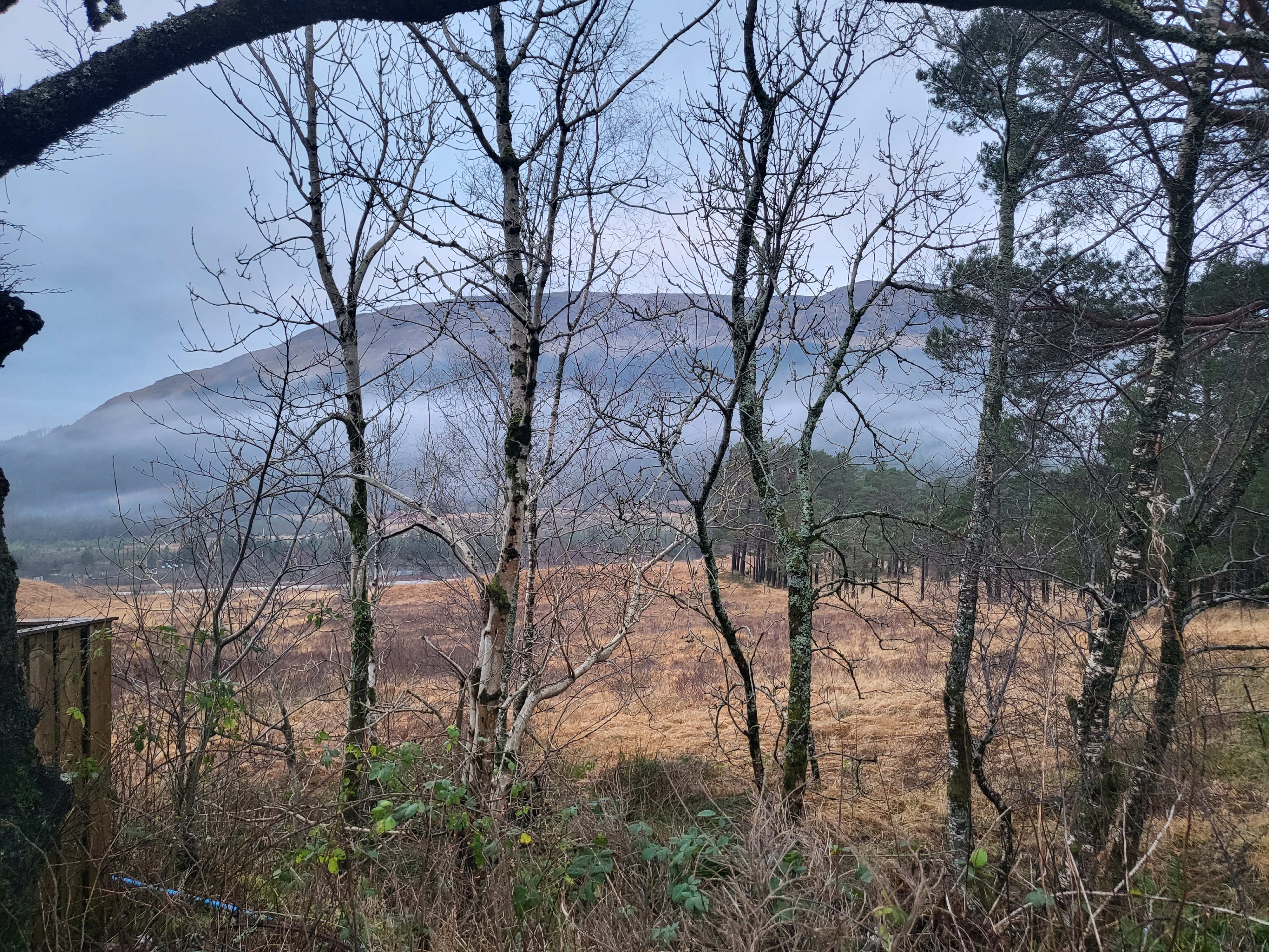 Beinn Dorian in the morning mist.