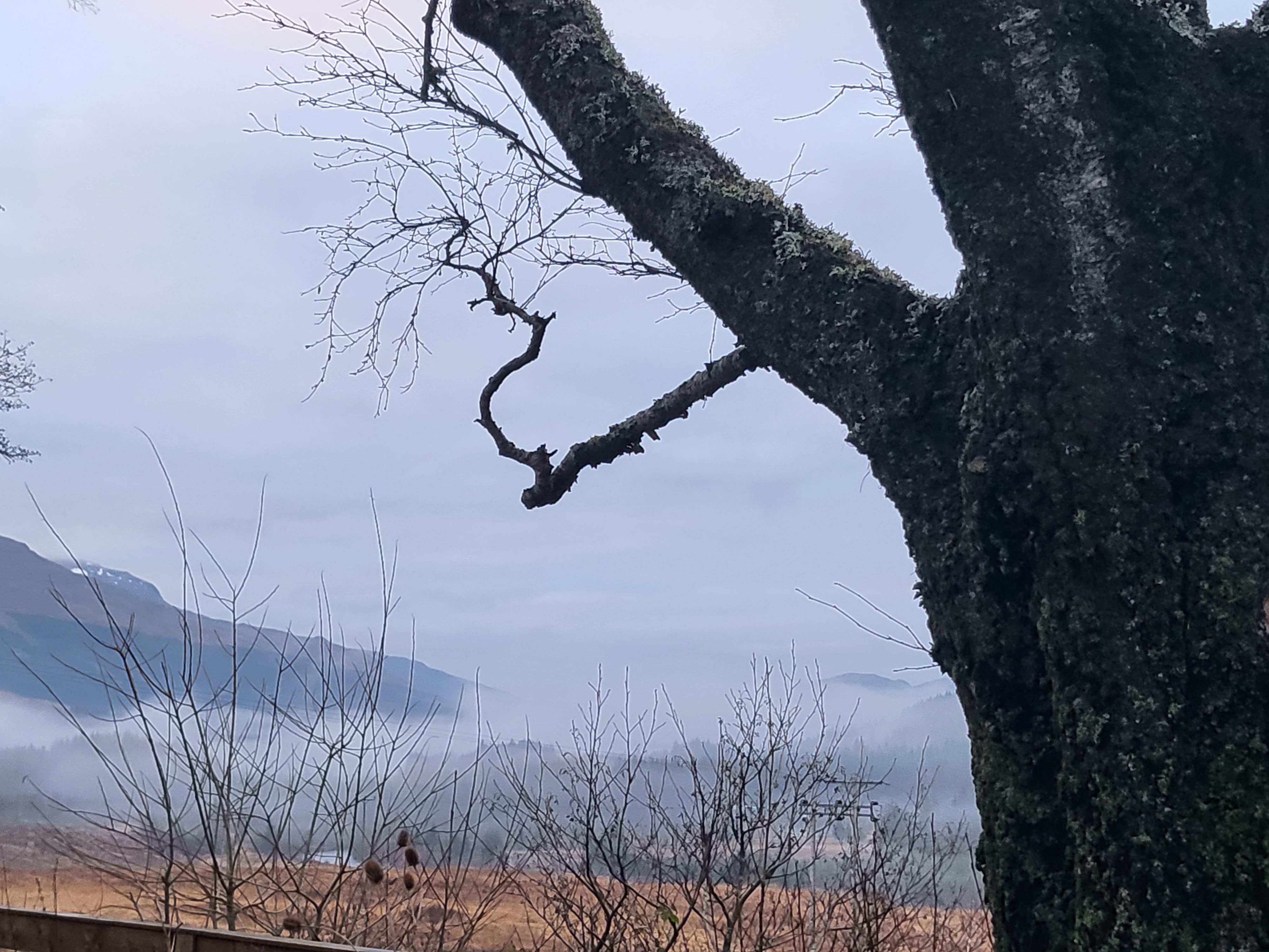 Looking down from Beinn Dorian to Bridge Of Orchy on the west Highland Way