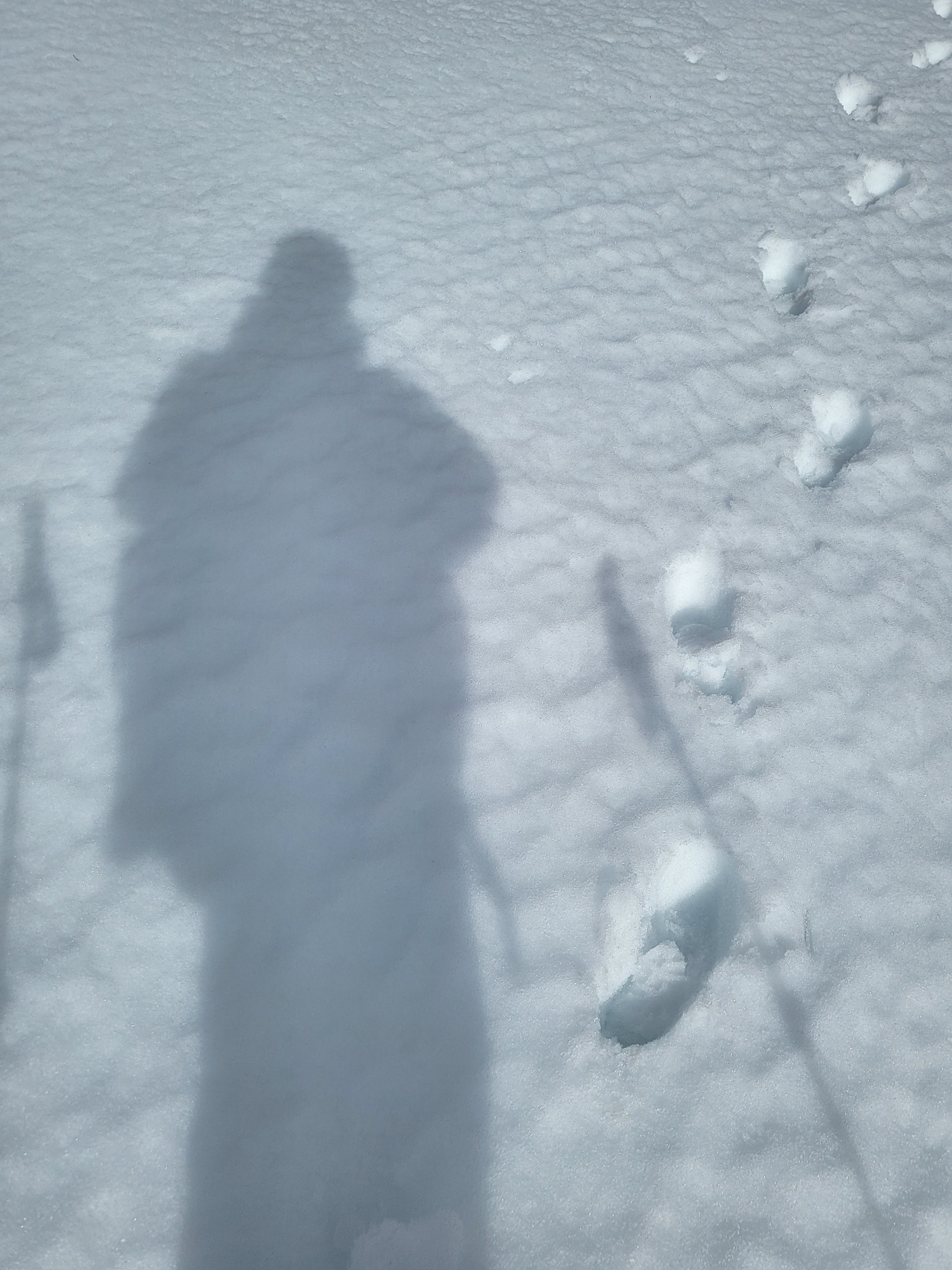 Shadow and footprints in the snow