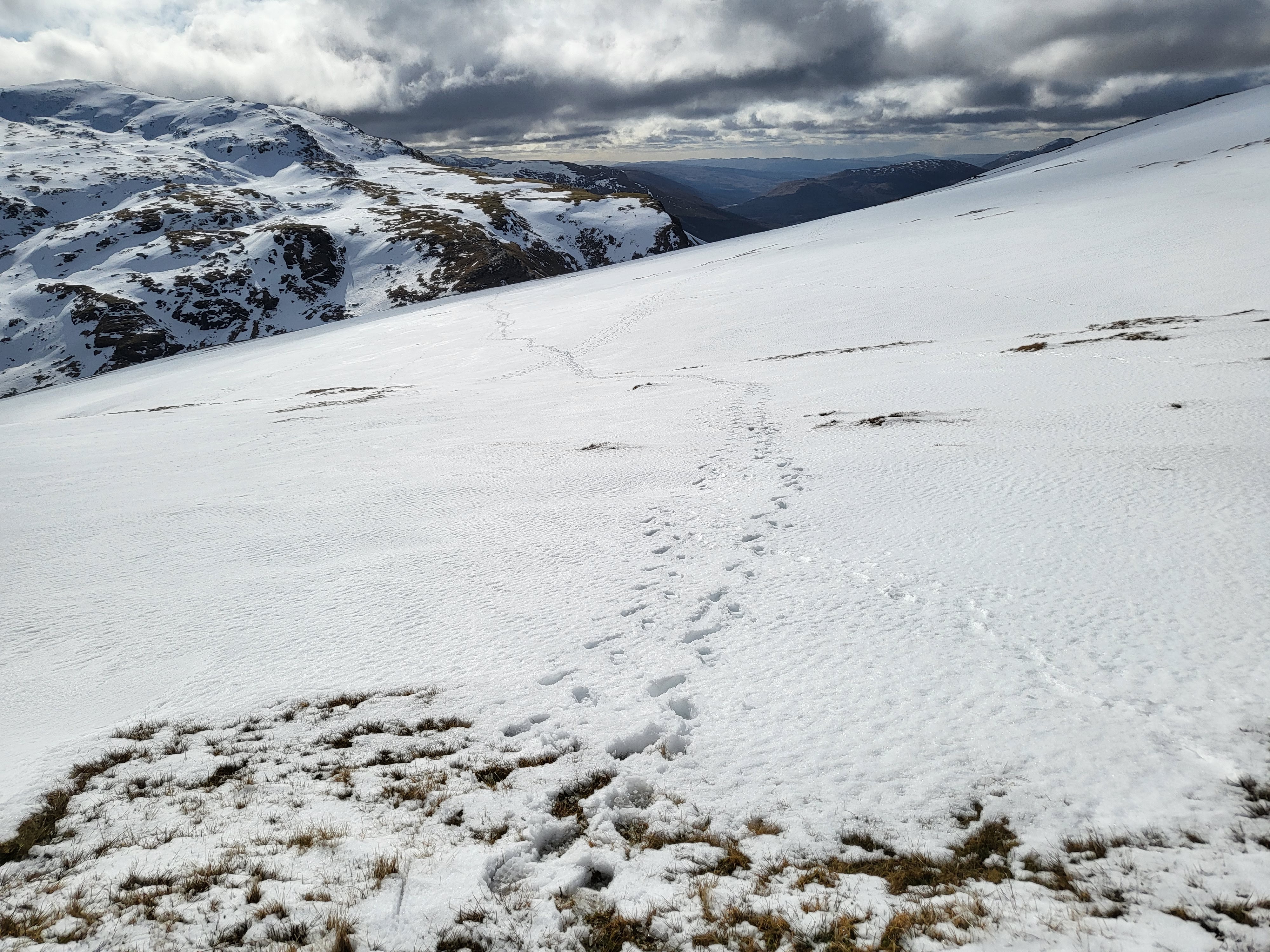 Footprints in the snow