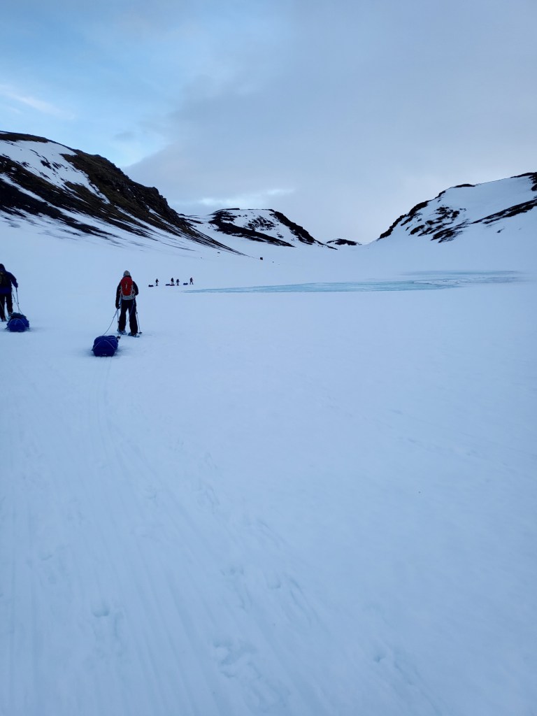 Walkers, pulkas and Snowshoes