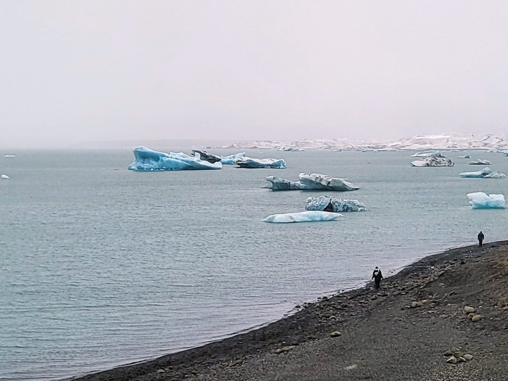 Icebergs drifting from a glacier.