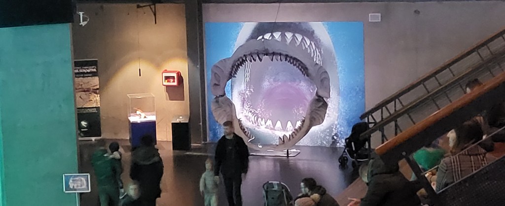 Megalodon Jaws.
